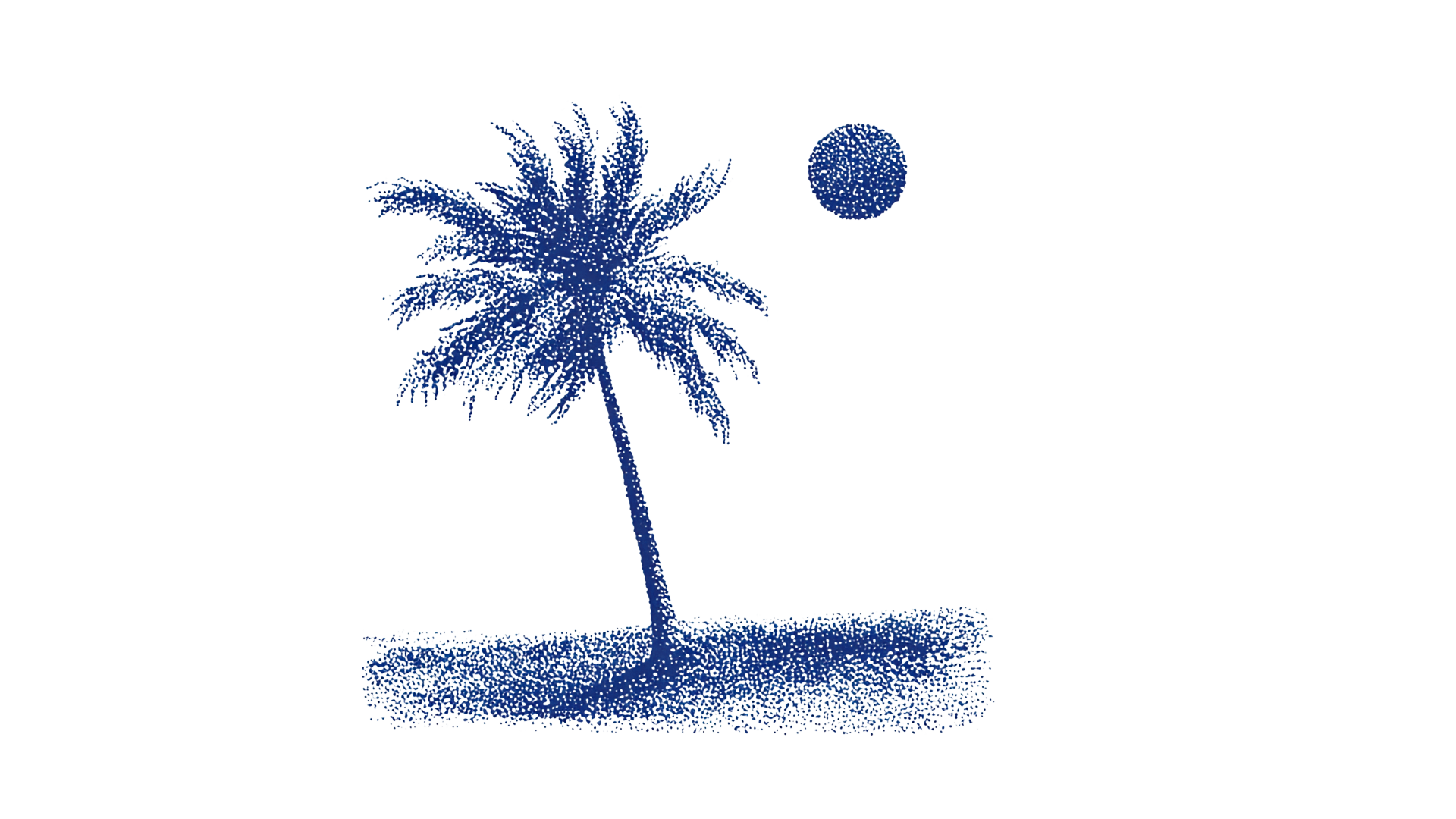 Palmera