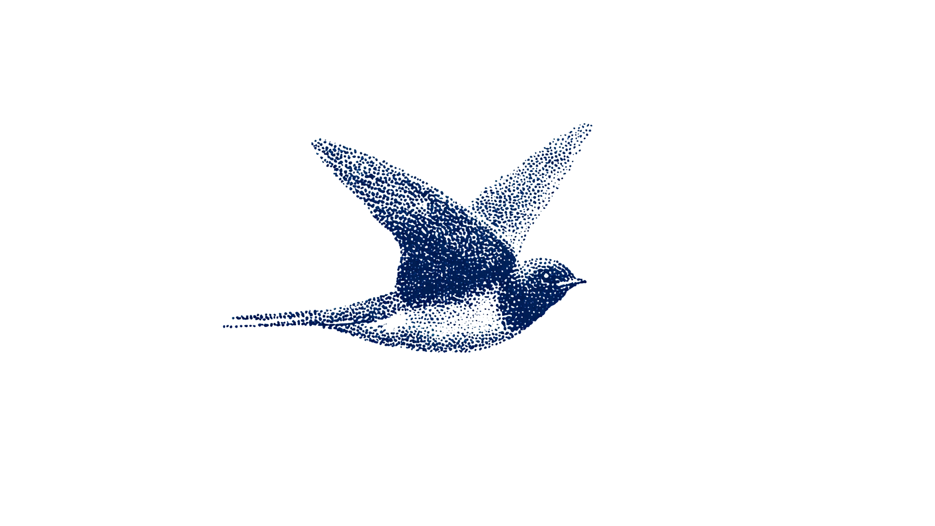 Golondrina